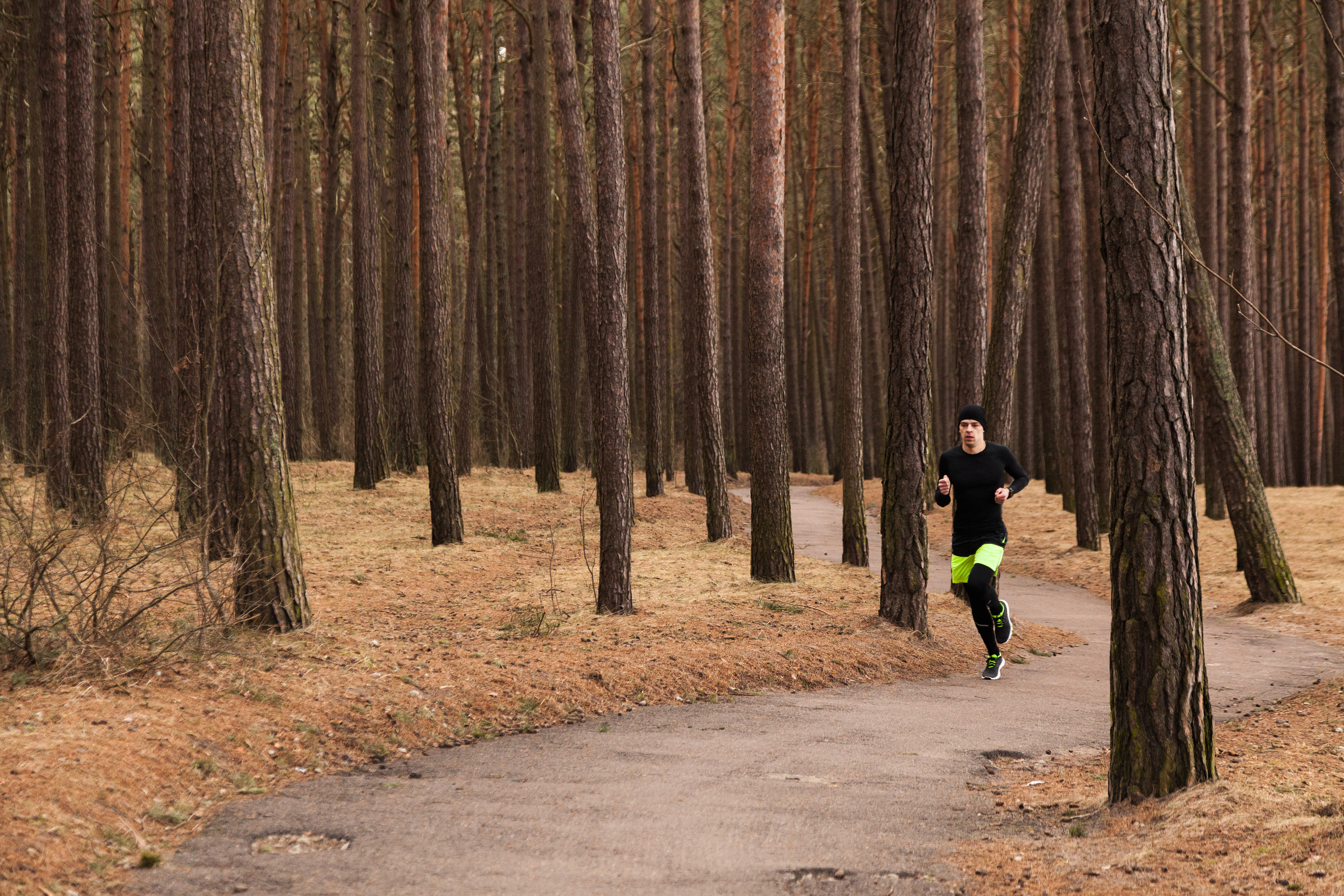 Runner in forest